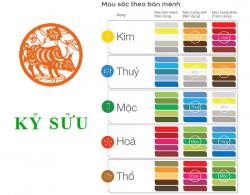 Sinh năm 2009 Kỷ Sửu hợp với màu gì? mua xe màu gì?