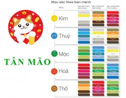 Sinh năm 2011 Tân Mão hợp với màu gì? mua xe màu gì?