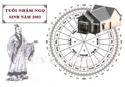 Tuổi Nhâm Ngọ hợp hướng nào, làm nhà hướng nào theo phong thuỷ