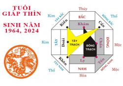 Sinh năm 1964 Giáp Thìn hợp hướng nào?