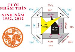 Sinh năm 2012 Nhâm Thìn hợp hướng nào?