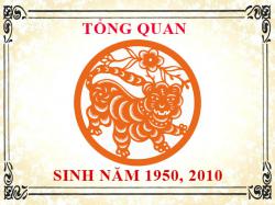 Sinh năm 2010 mệnh gì, tuổi gì và hợp màu gì?