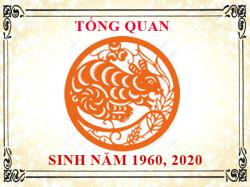 Sinh năm 2020 mệnh gì, tuổi gì và hợp màu gì?
