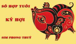 Tuổi Kỷ Hợi hợp với số nào theo phong thuỷ, chọn sim phong thuỷ