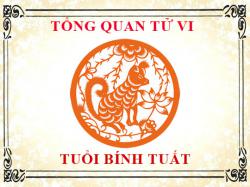 Tử vi tuổi Bính Tuất 2006 Tổng quan về vận mệnh, tình yêu, sự nghiệp