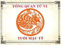 Tử vi tuổi Mậu Tý 2008: Tổng quan về vận mệnh, tình yêu, sự nghiệp