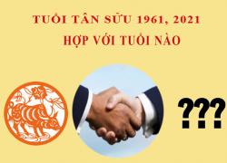 Tuổi Tân Sửu hợp với tuổi nào?