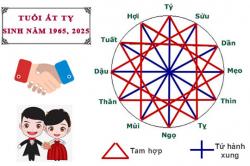 Tuổi Ất Tỵ hợp với tuổi nào trong làm ăn, tình yêu và hôn nhân