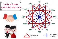 Tuổi Kỷ Hợi hợp với tuổi nào trong làm ăn, tình yêu và hôn nhân