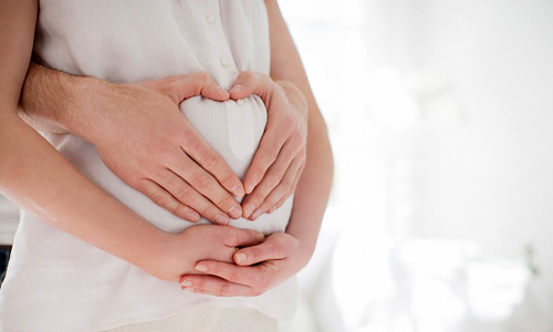 Những con giáp nào sẽ có 