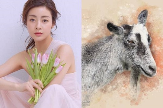 Đây là những con giáp có duyên với nhà Phật, tài vận hanh thông, phú quý giàu sang
