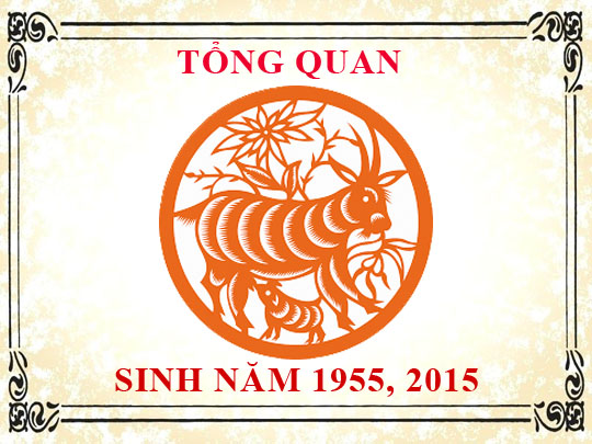 Sinh năm 2015 mệnh gì, tuổi gì và hợp màu gì?