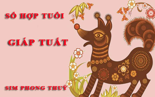 Tuổi Giáp Tuất hợp với số nào theo phong thuỷ, chọn sim phong thuỷ