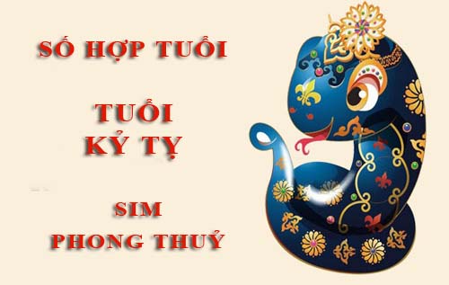 Tuổi Kỷ Tỵ hợp với số nào theo phong thuỷ, chọn sim phong thuỷ