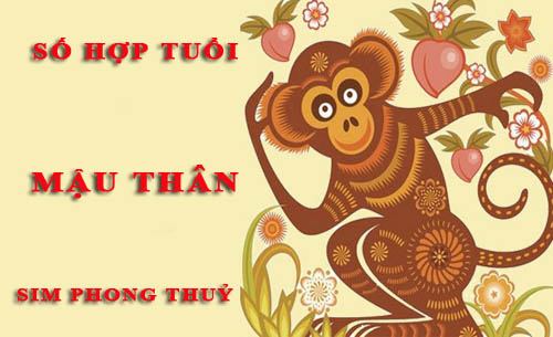 Tuổi Mậu Thân hợp với số nào theo phong thuỷ, chọn sim phong thuỷ