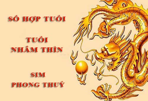 Tuổi Nhâm Thìn hợp với số nào theo phong thuỷ, chọn sim phong thuỷ