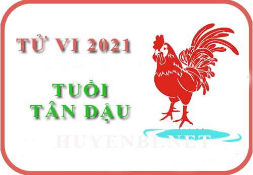 Luận tử vi năm 2021 tuổi Tân Dậu 1981 nam, nữ mệnh