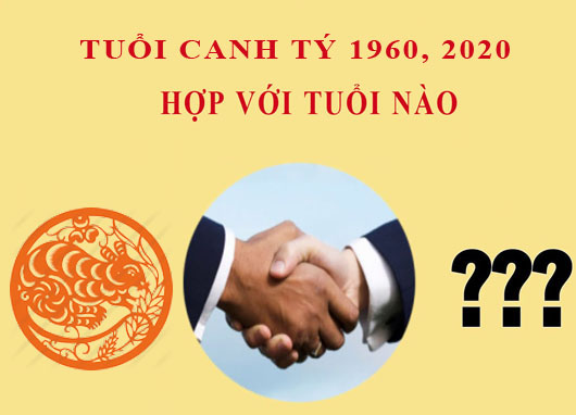 Tuổi Canh Tý hợp với tuổi nào?