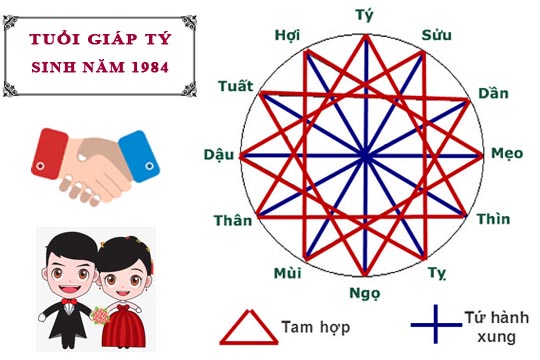 Tuổi Giáp Tý hợp với tuổi nào trong làm ăn, tình yêu và hôn nhân
