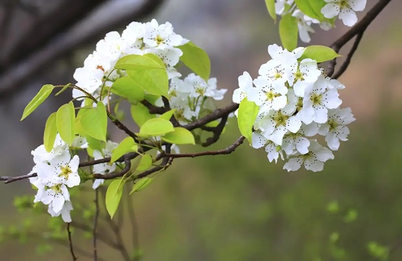 Tháng 9 mang đến một bước ngoặt! Bốn con giáp này chịu đựng những giai đoạn khó khăn và may mắn tự nhiên sẽ đến